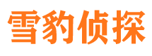 汤旺河寻人公司